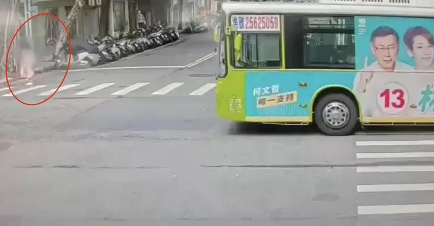 驚險！民生社區4樓高路樹倒塌　這人前一秒走過超幸運