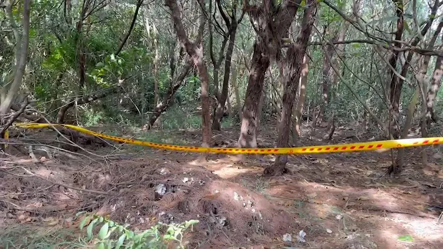 台南防風林「驚見狗群啃屍」！他癱倒慘淪碎屍　友神隱2天露面：人我殺的