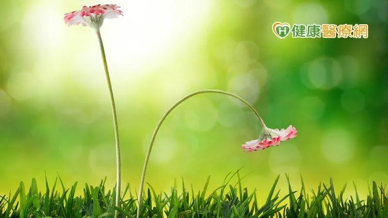 網路買「壯陽藥」提升閨房樂小心致死！藥師揭3個用藥原則