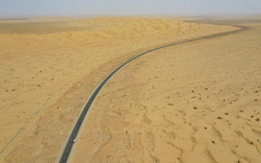 新疆「沙漠人參」豐收　黃沙淘金生態經濟雙贏