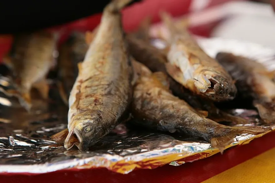 【影】邊吃飯愛配「這種魚」？醫示警：小心罹「鼻咽癌」機率高7倍！