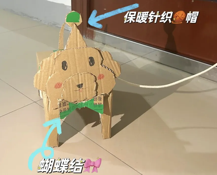 封控奇觀！陸大學生養「紙盒狗」解悶　穿搭、掛名牌、遛狗樣樣來