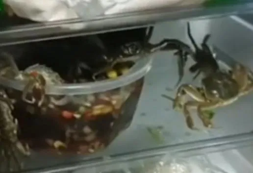 【影】陸女動手做生醃螃蟹　3小時候打開冰箱傻眼：全都「越獄」啦！