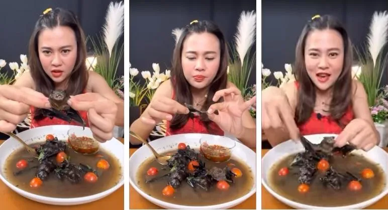 【影】就像吃老鼠 ！泰女網紅蝙蝠吃播下場GG了...被捕恐蹲5年牢