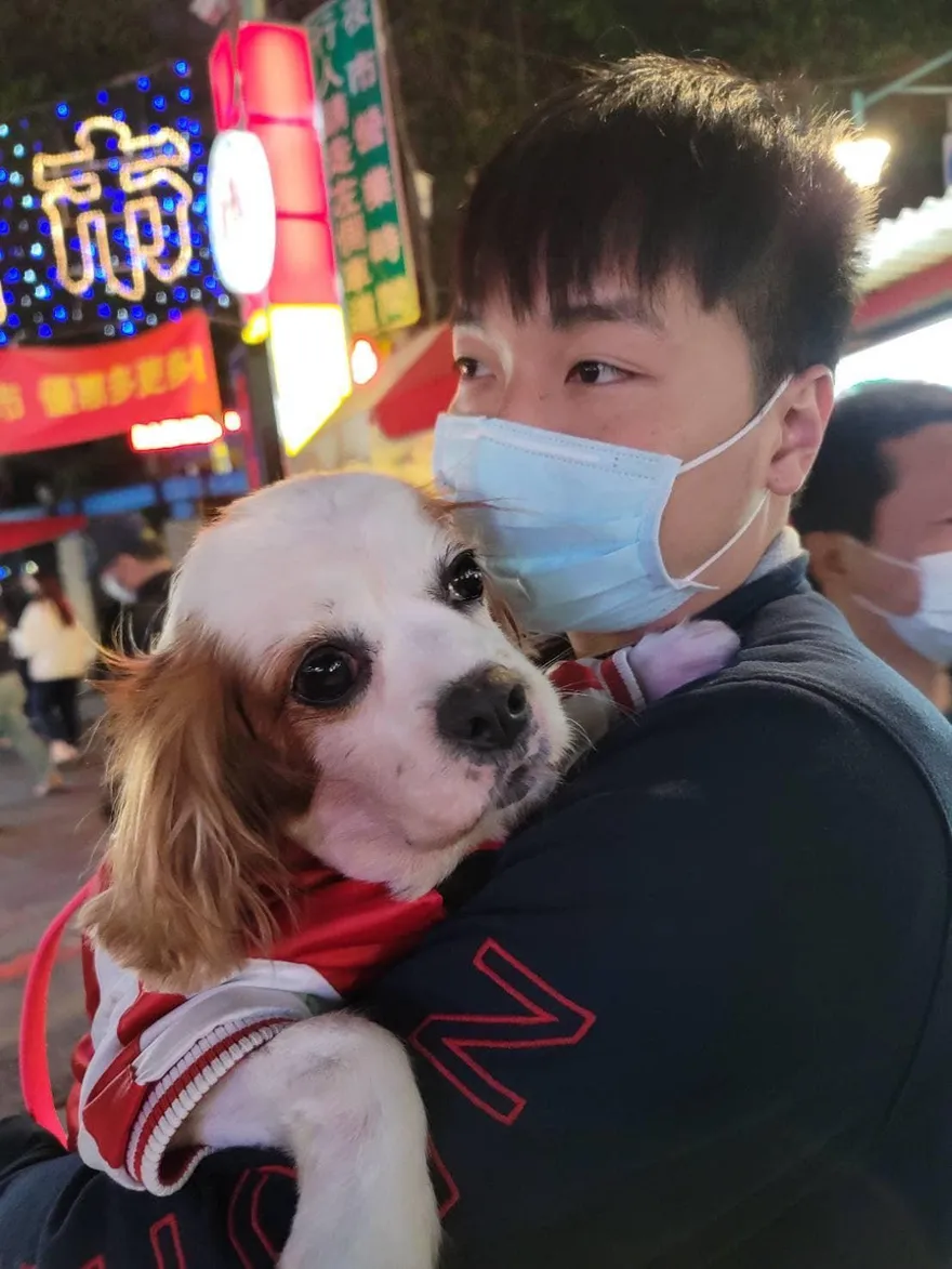 綠營「口譯哥」批蔣萬安在美為陸企服務　楊植斗：以管窺天