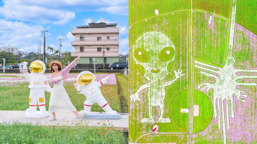 【影】網美快衝！「桃園花彩節」首周湧16萬人　太空圖騰花田繽紛登場