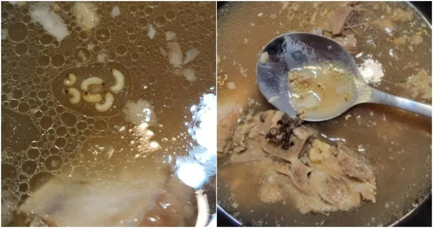 噁！買藥燉排骨湯上浮「像蛆的物體」　店家稱「這是罕見的中藥材！」