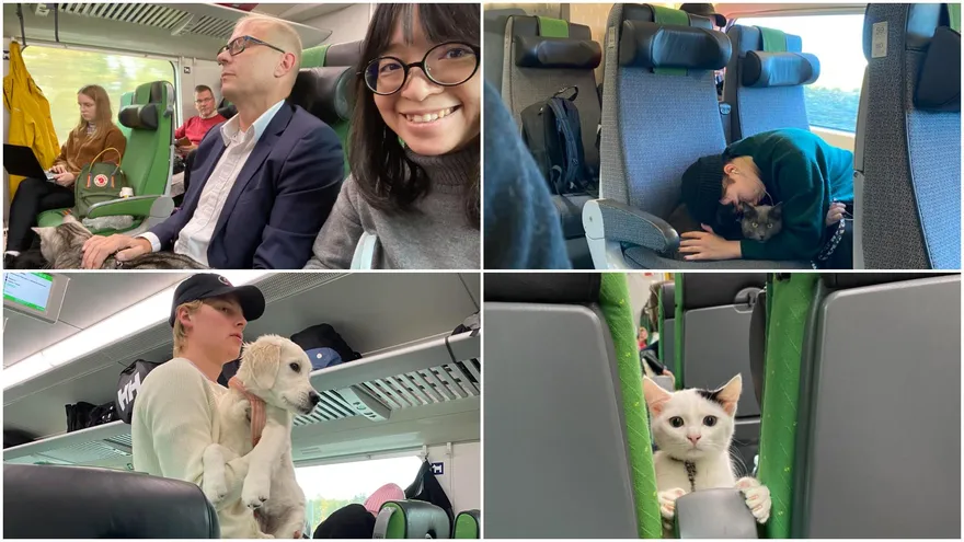 人生清單！芬蘭「寵物車廂」必須去　全網暴動：台灣給我跟上
