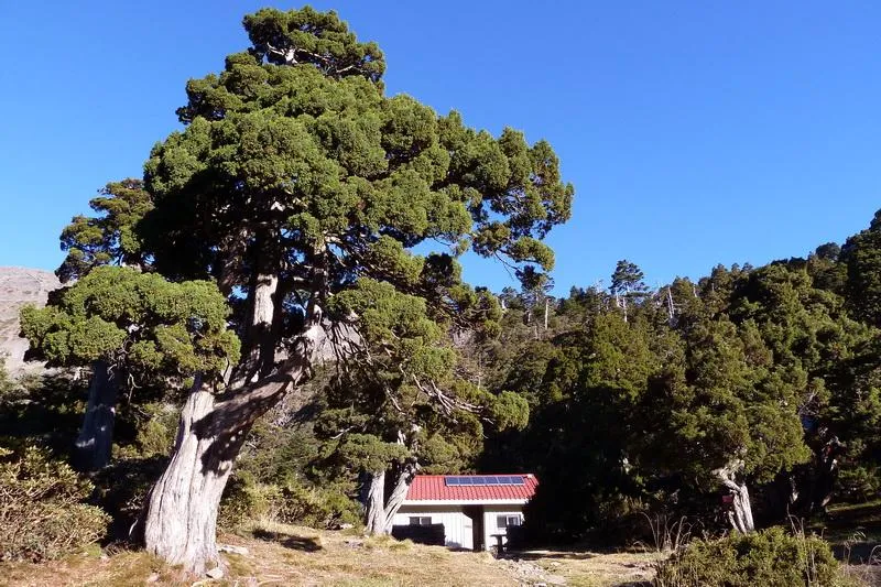 退休法官闖雪山！遭罰款3千提告免罰…二審這原因敗訴