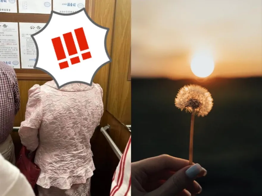 「蒲公英」髮型超吸睛！　網讚嘆：求髮型師大名