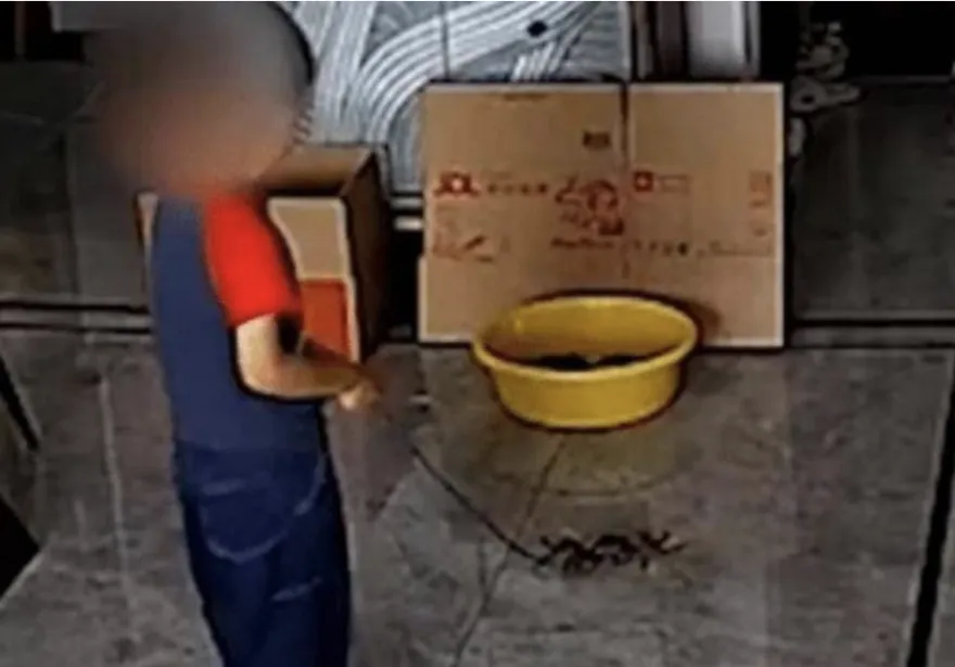 網購到死螃蟹氣炸求償！他監視器「見1幕」傻眼了：原來兇手在我家