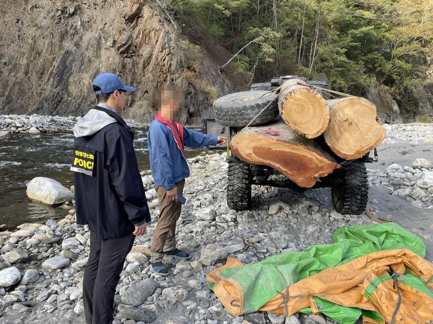 【影】驚險！台中「深山特遣勤務」抓山老鼠　河床追車逮人起出珍貴肖楠木
