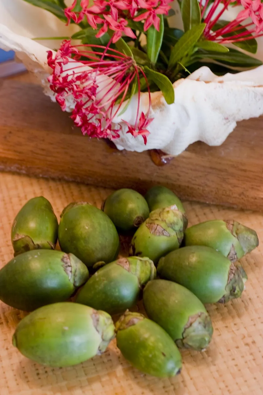 「檳」來這樣擋！天冷吃它「口腔癌」恐找上門　國健署統計每年約3000人罹癌死亡