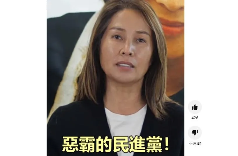 猛轟不善良政黨四大罪狀！高金素梅火力全開：1126挺善良　下架惡霸民進黨