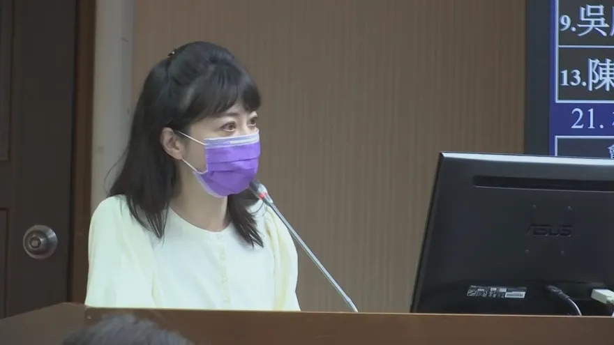 【影】高嘉瑜轟綠側翼豬隊友　「為自己、還是為黨？」