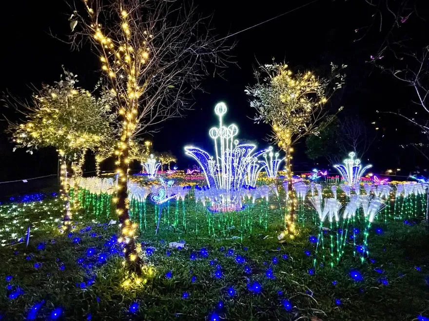 台中「山谷燈光節」點亮溫泉公園　賞燈泡湯人潮爆滿