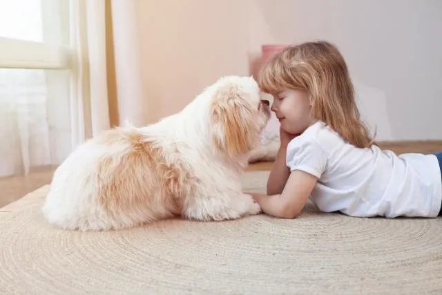家有毛孩注意！男嬰反覆發燒腹瀉　竟是清潔不當遭寄生蟲感染