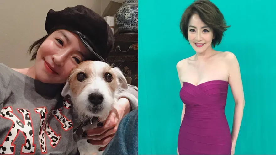 58歲「內衣皇后」大腸狂長12顆息肉…切除1年再冒6顆！「左下腹悶痛」現況曝