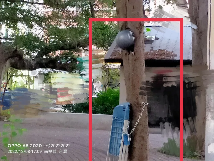 公園當自己家～樹木變置物架　南投市公所回覆「無法可管」