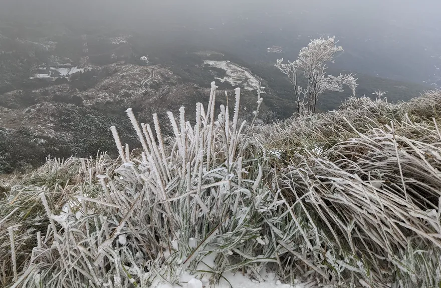 陽明山有望降雪！首波寒流殺到低溫再跌　賈新興曝：這2天探8度