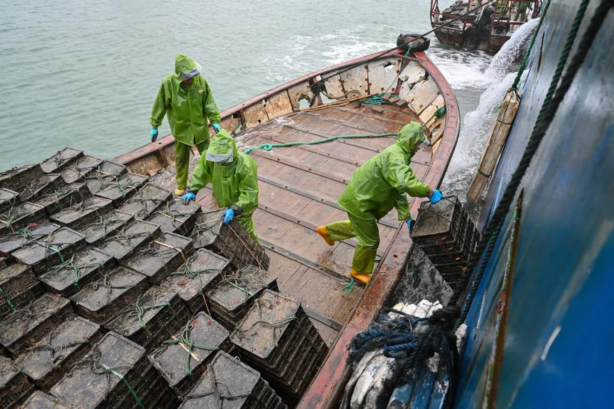 陸入境再鬆綁？漳州：漁船民比照「海外入境人員」 12/19起「2+3」、明年1/9起「0+3」