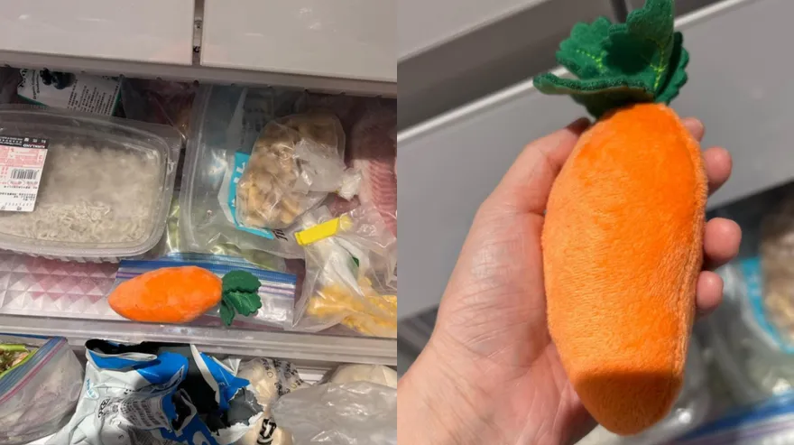 鄧福如驚見「冰箱暗藏不明物」！曬「食物堆條狀照」　網友抓包亮點秒笑歪