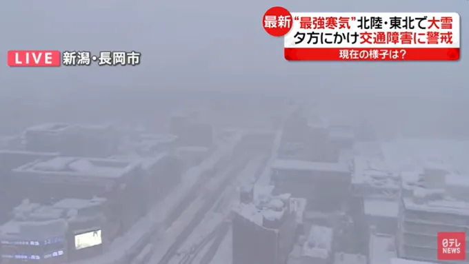 【影】急凍世界！日本新潟縣降下破紀錄大雪　釀2死6傷