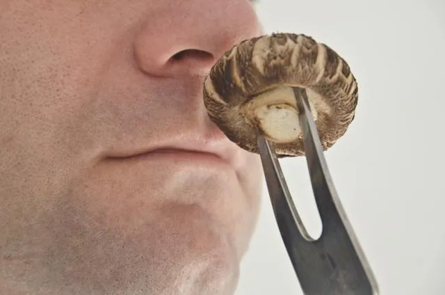 抗拒美食誘惑有解！研究：聞香2分鐘可降低購買慾