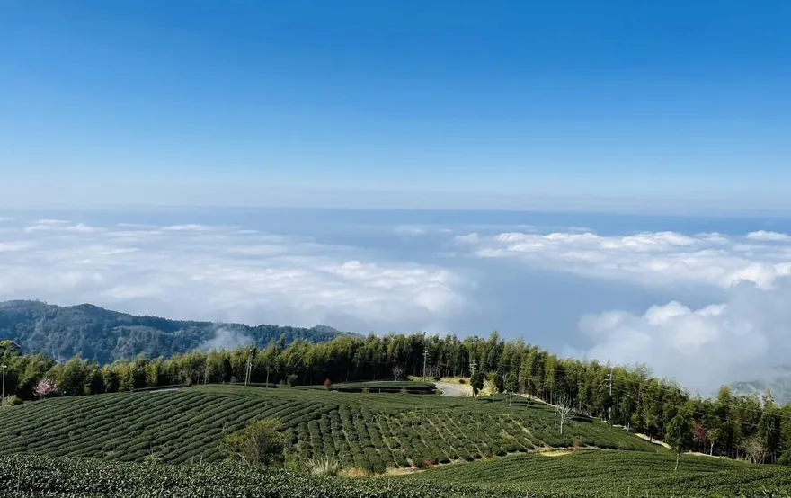 雲林私藏秘境大公開！　這些地方只有內行知