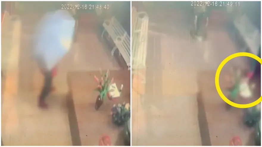 【影】土地公前偷東西！警開「上帝視角」秒逮人　網歪樓：是多好吃…哪裡買？