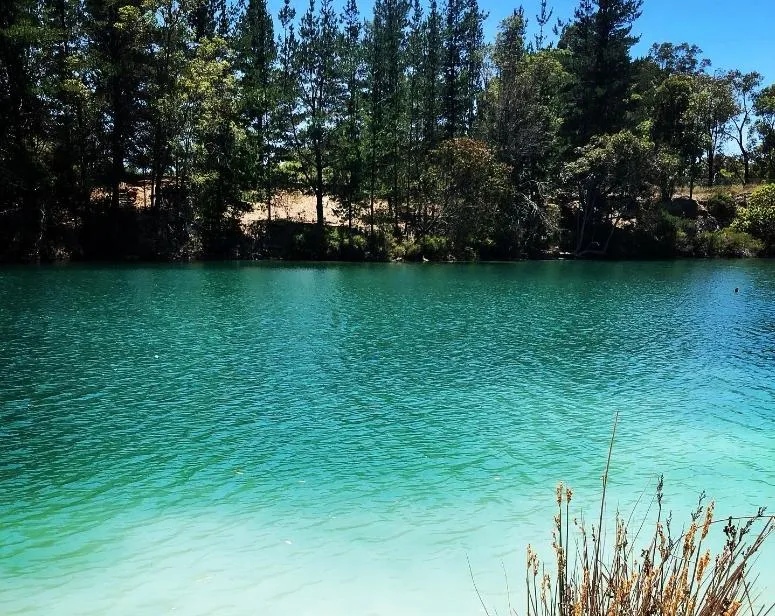 33歲台男聖誕節命喪澳洲！遊湖時失蹤經搜查竟陳屍湖底