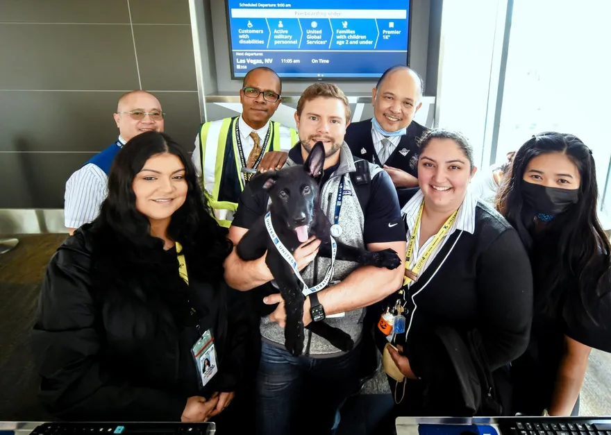 狠心主人因狗狗無法入境當場棄養　航空公司為牠奔走逃過安樂死找新家