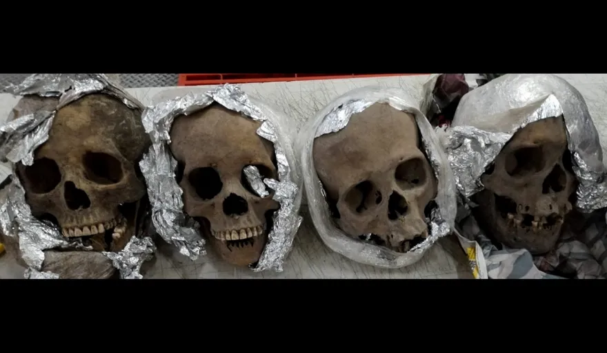 毛骨悚然！墨西哥寄往美國包裹中竟有詭異人頭骨　機場安檢嚇壞