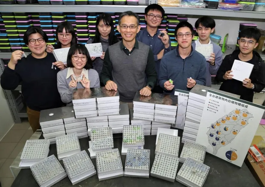 白蟻品種揭密！興大教授：台灣南北大不同　邀民眾「抓蟲」採樣本
