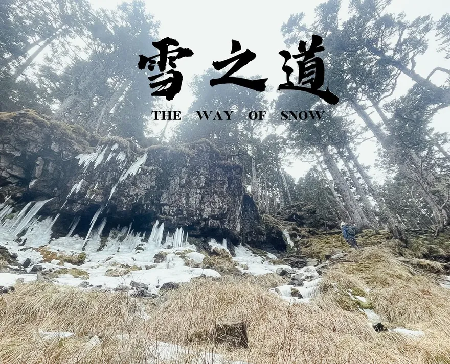 零度搜救！苗栗消防局曝跨年救援　搜救人員眼裡「絕美雪景」成絕境