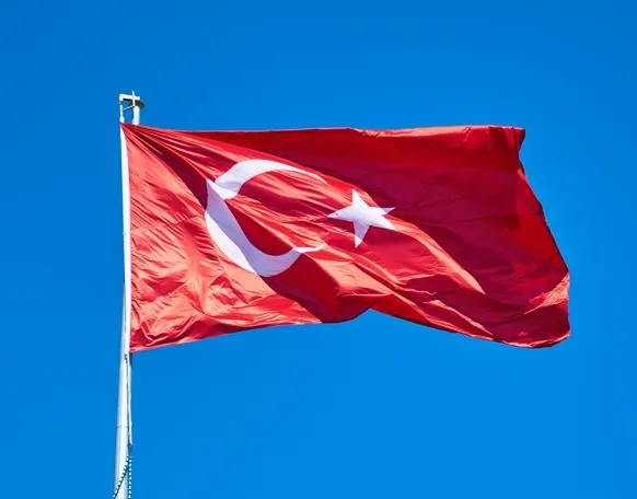 不想再當火雞！美國務院同意土耳其政府更名訴求　正式改為「Türkiye」