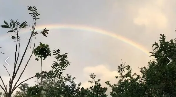 最新預報：越晚越冷！8縣市「10℃以下」　氣溫一路降最冷在這天