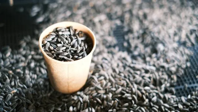 過年嗑瓜子小心傷呀！牙醫警「4點」一天建議30粒為佳