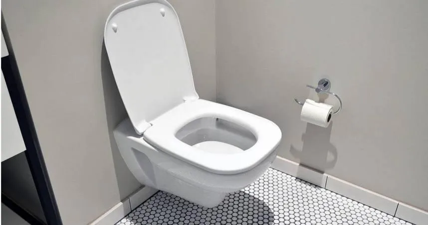 蹲式還是坐式馬桶比較乾淨？ 醫列優缺點：「這選擇」有優勢！保持衛生最重要