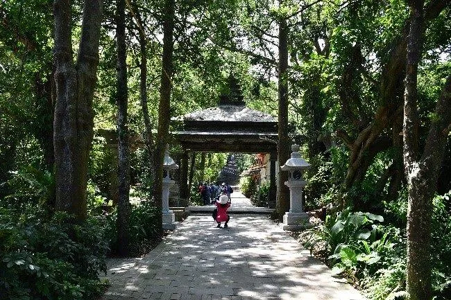 春節走春/台北尋龍之旅！圓山日夜美景一覽無遺　指南山祈福兼賞櫻