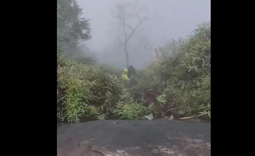 崖邊撿空拍機！阿兜仔失足墜「40M」深淵　巨樹接住6小時後幸運救出