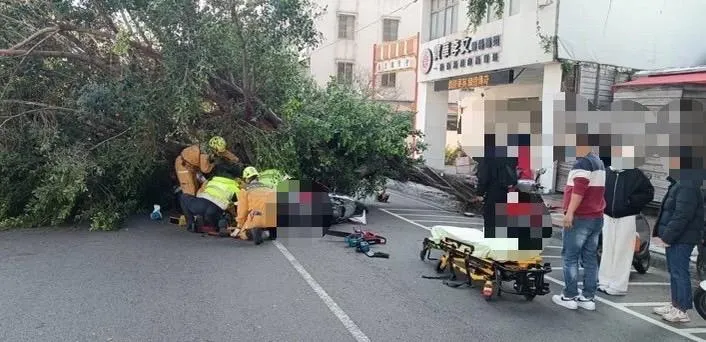 影/風好大！台中市爆兩起路樹倒塌意外　合計3人受傷送醫