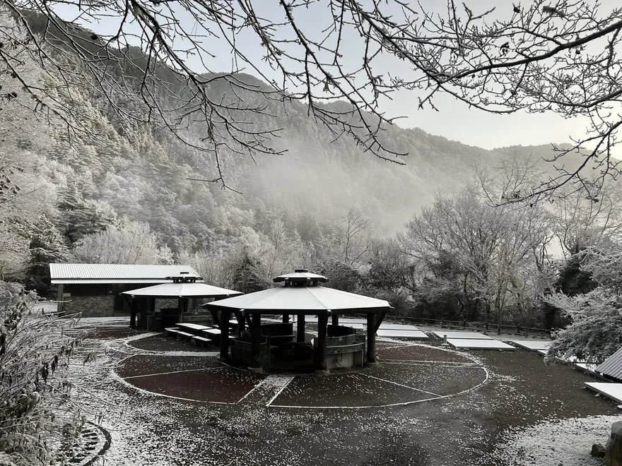 快訊/年獸寒流來敲門！南橫降下絕美雪景　向陽山區成銀白世界