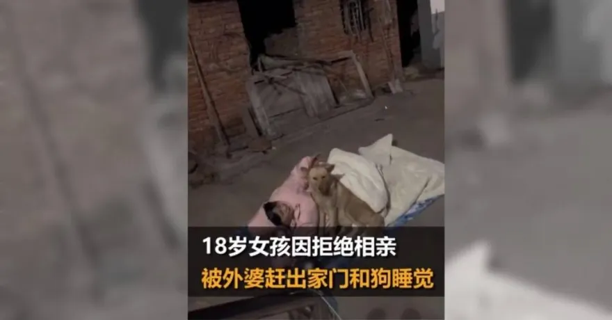 18歲少女拒相親「遭趕出家門」　零下低溫「戶外躺地抱狗睡2天」