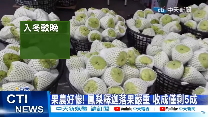 被打敗了！厚臉皮奧客試吃11顆釋迦心滿意足　要衛生紙轉頭走人