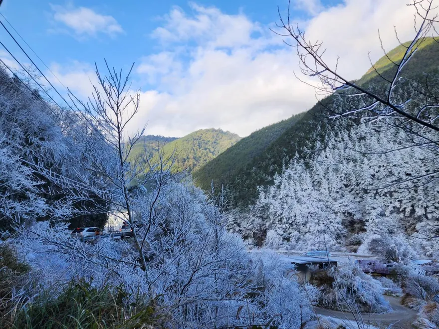 影/台七甲線思源埡口下雪了！武陵農場化身銀白世界　追雪族嗨翻