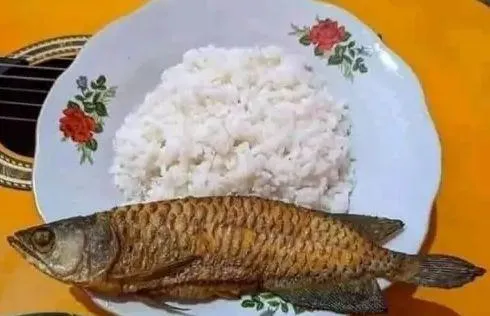 印尼男子家中身價3萬元金龍魚消失　一轉身間見2名兒子端出一盤煎魚...心都涼了