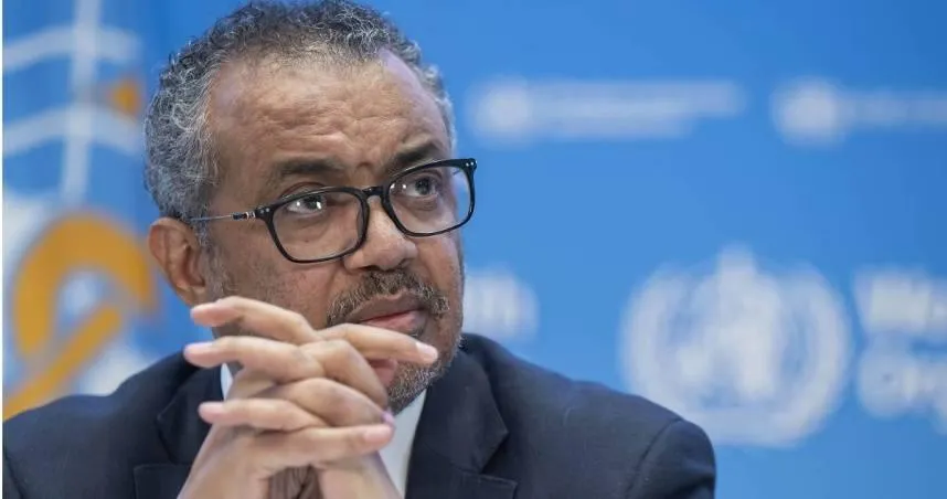 爆發多起哺乳動物感染H5N1案例　WHO籲別亂摸野生動物：人類恐會被感染！