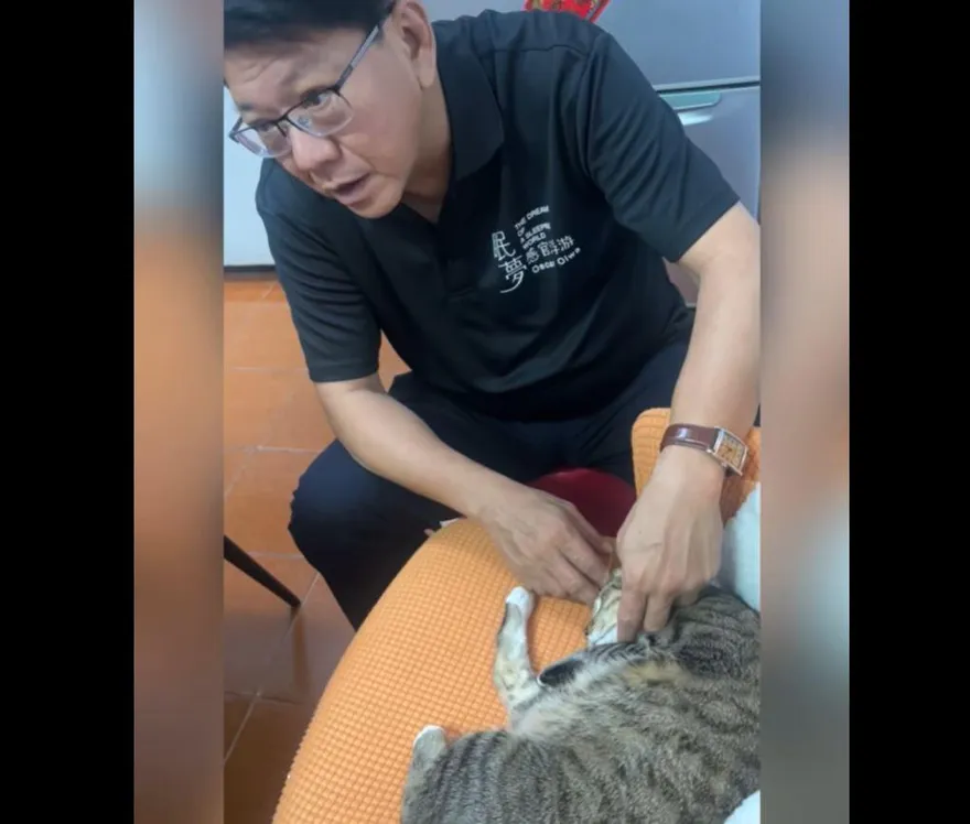 陳宗彥解釋潘孟安為何沒入閣　「這句話」讓記者笑翻