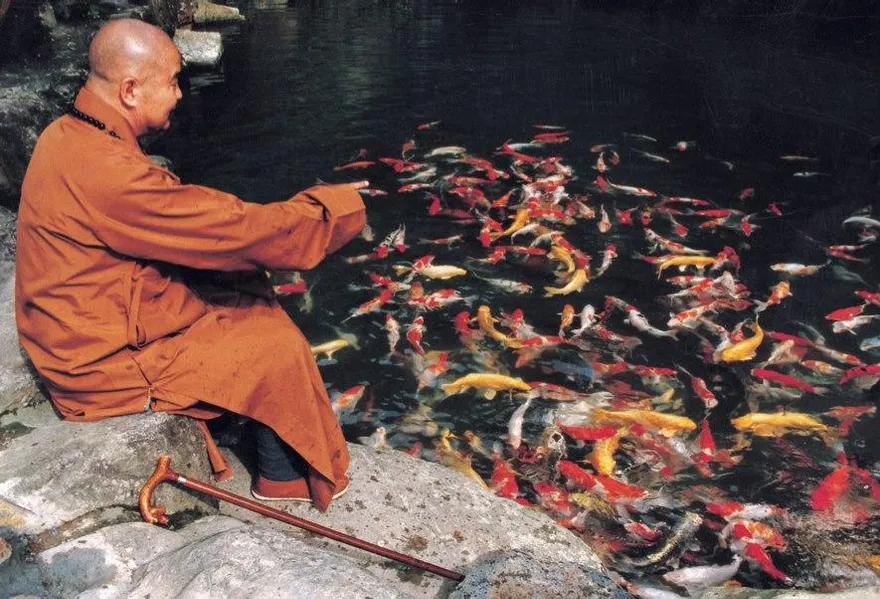 星雲大師「遺囑全文」曝！多次徘徊生死邊緣　看淡一切財產全捐出